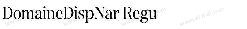DomaineDispNar Regu字体转换